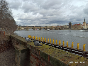 View Full Size